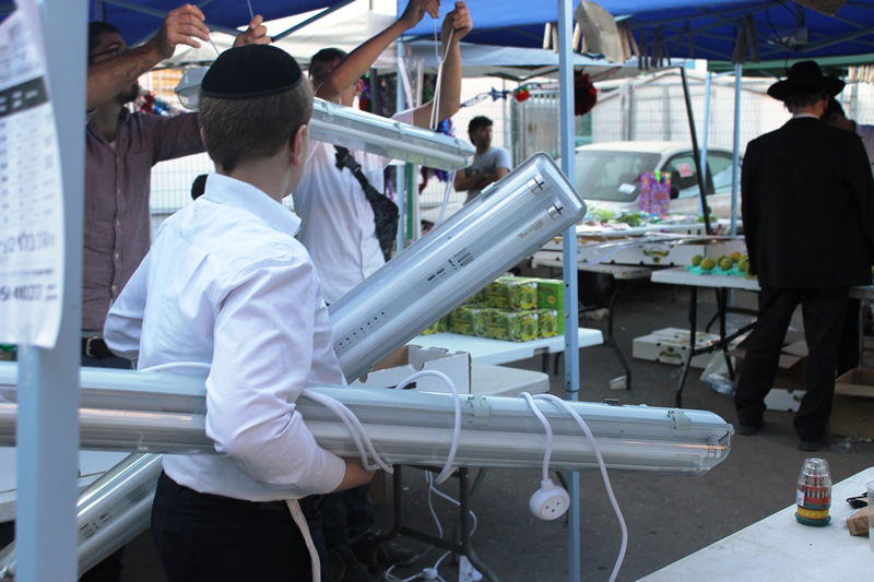 יש לבלוב? • תיעוד משוק ארבעת המינים בבני ברק