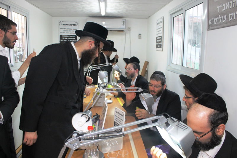 יש לבלוב? • תיעוד משוק ארבעת המינים בבני ברק