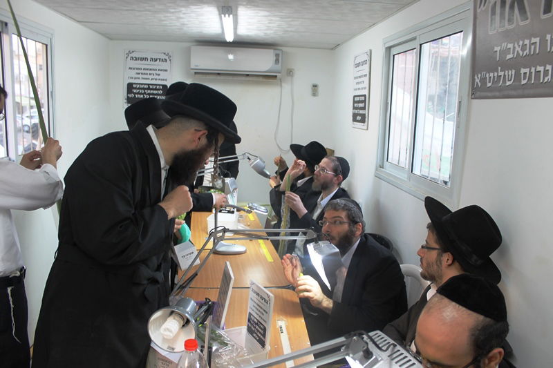 יש לבלוב? • תיעוד משוק ארבעת המינים בבני ברק