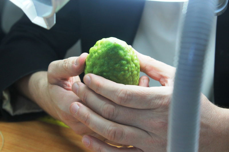 יש לבלוב? • תיעוד משוק ארבעת המינים בבני ברק