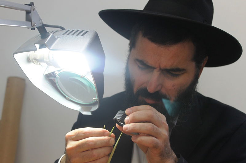 יש לבלוב? • תיעוד משוק ארבעת המינים בבני ברק