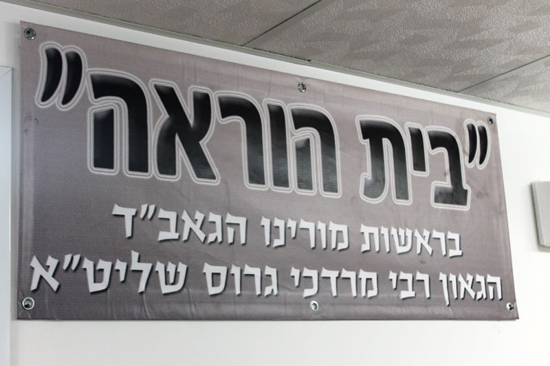 יש לבלוב? • תיעוד משוק ארבעת המינים בבני ברק