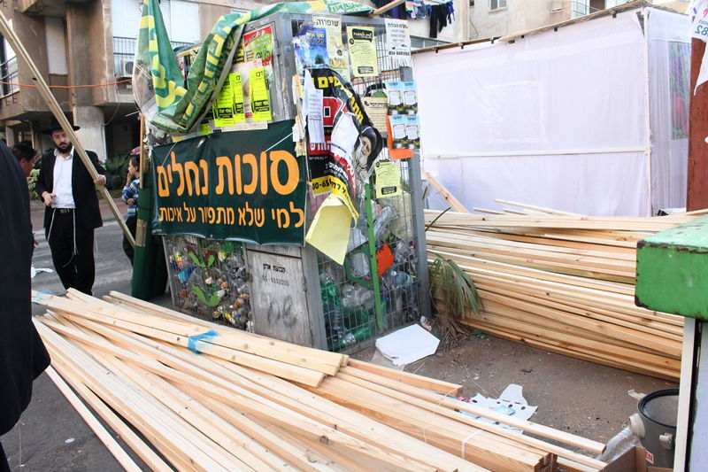 יש לבלוב? • תיעוד משוק ארבעת המינים בבני ברק