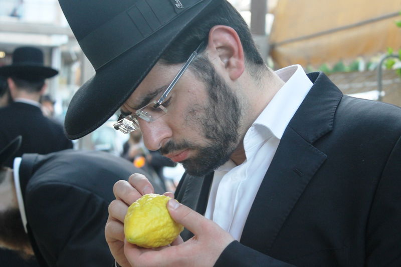 יש לבלוב? • תיעוד משוק ארבעת המינים בבני ברק