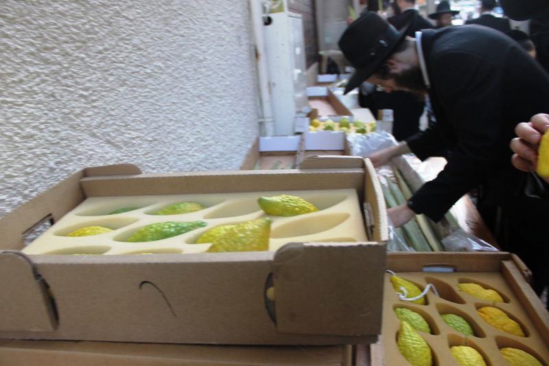 יש לבלוב? • תיעוד משוק ארבעת המינים בבני ברק