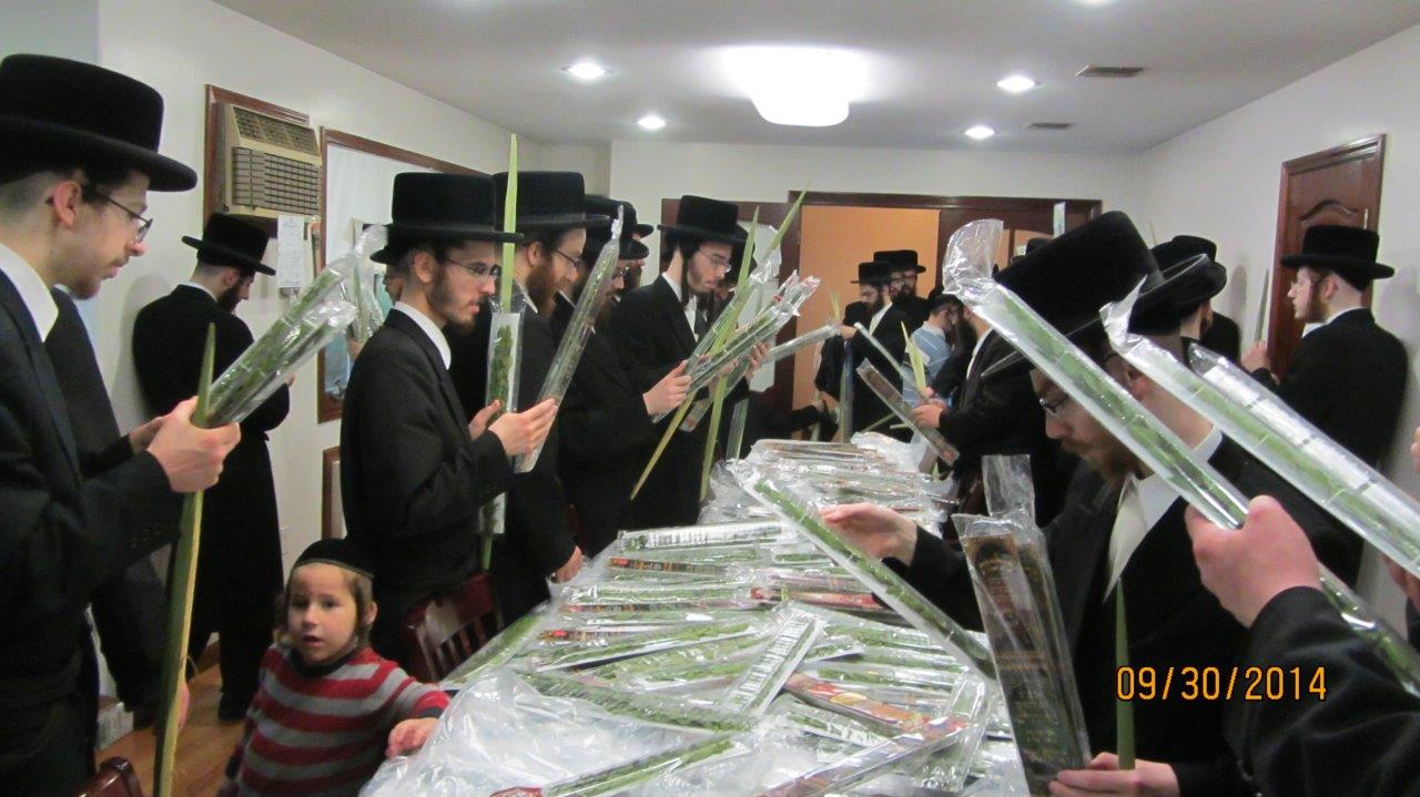 סקווירא בוחרת לולבים ואתרוגים • צפו בגלריה