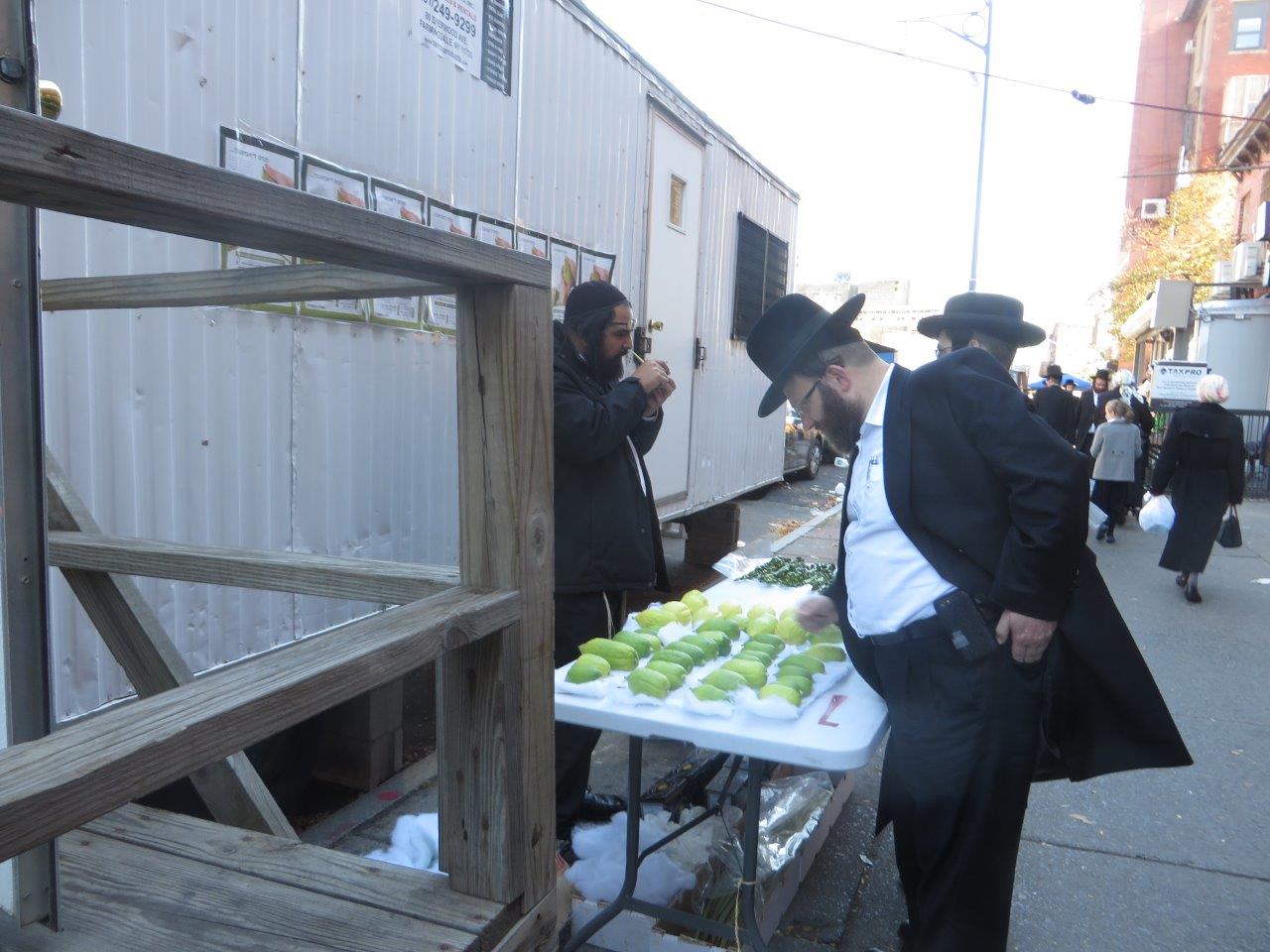 צפו בתיעוד: כך ויליאמסבורג נערכת לסוכות