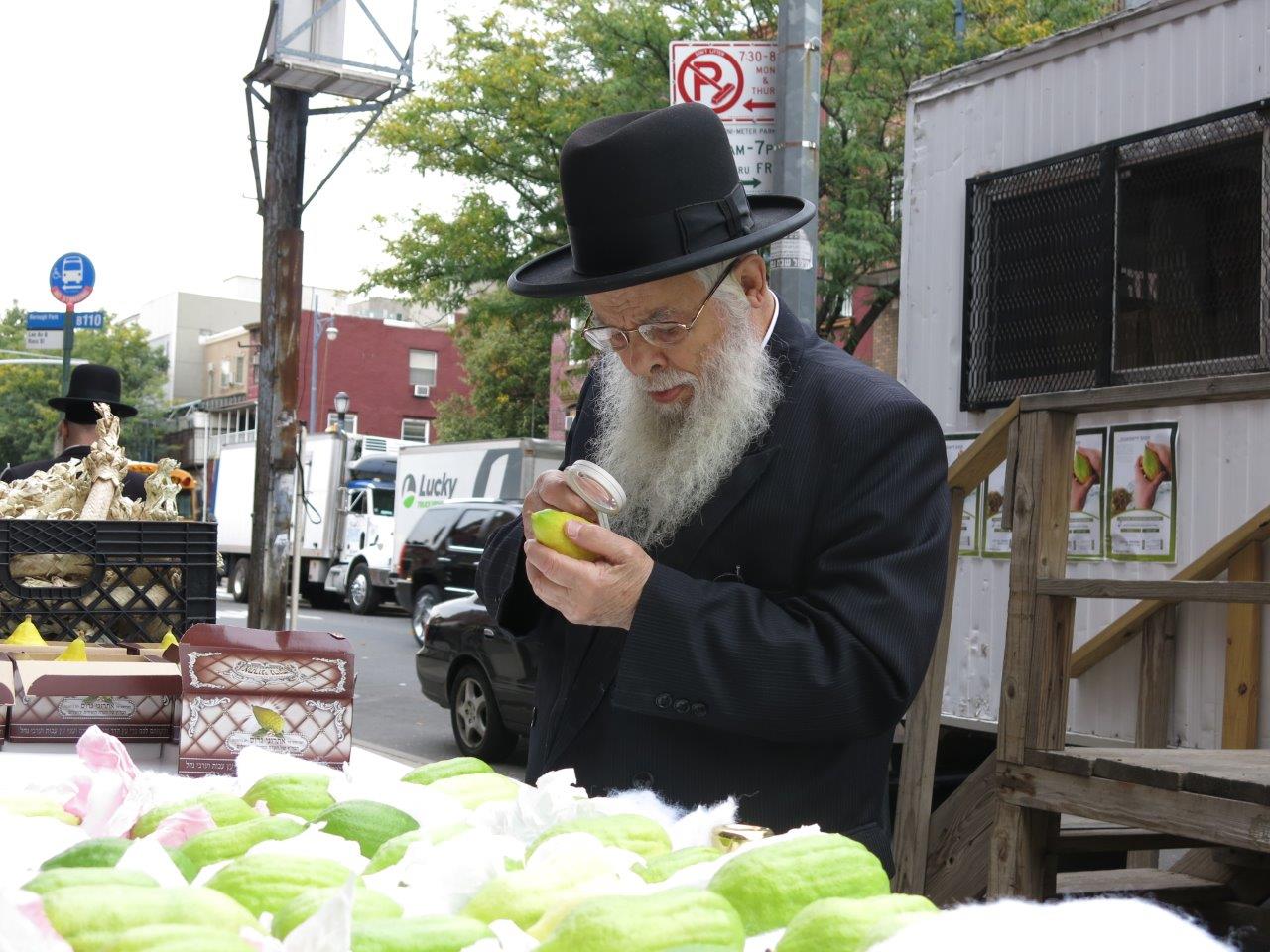 צפו בתיעוד: כך ויליאמסבורג נערכת לסוכות