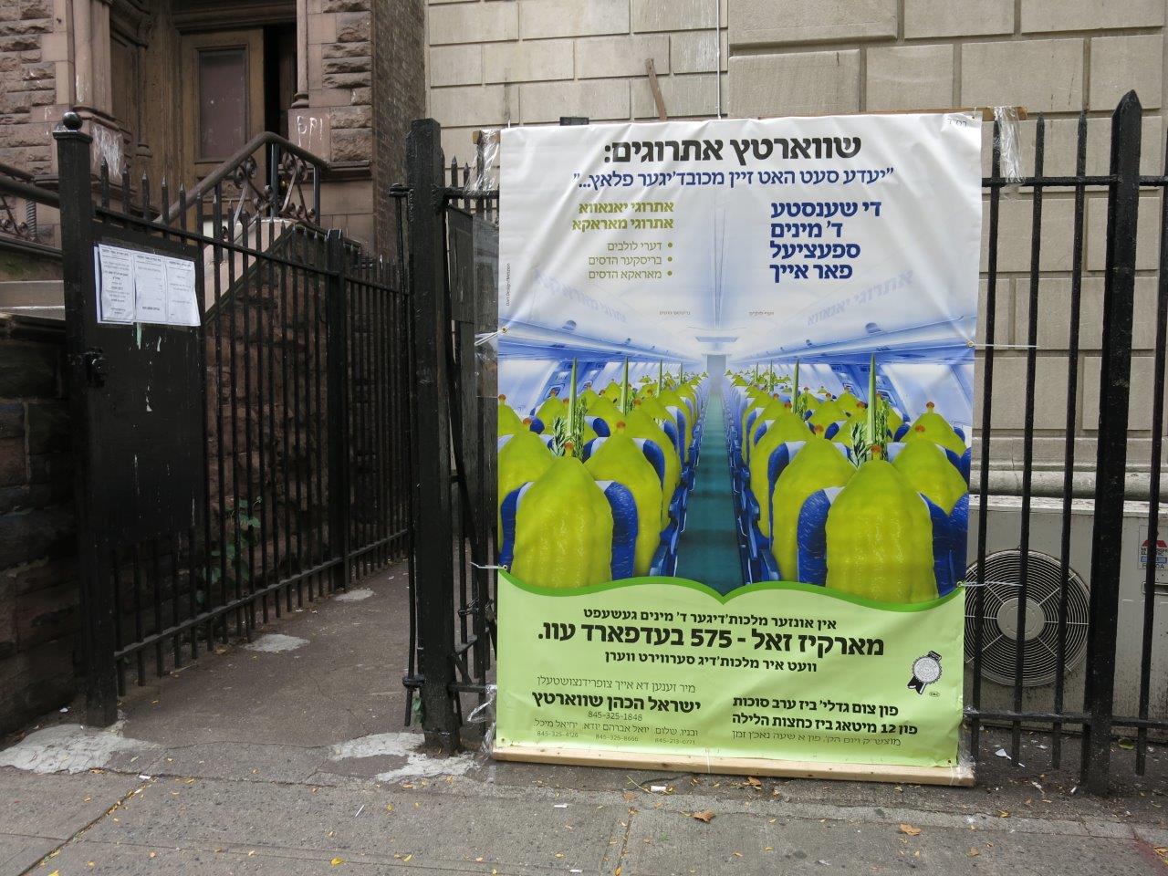 צפו בתיעוד: כך ויליאמסבורג נערכת לסוכות