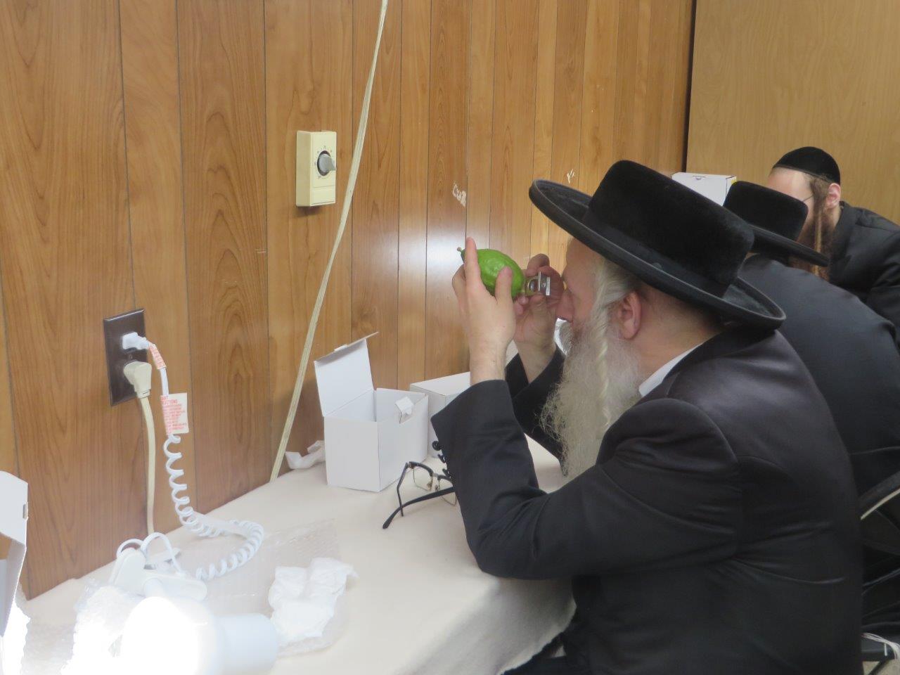 צפו בתיעוד: כך ויליאמסבורג נערכת לסוכות