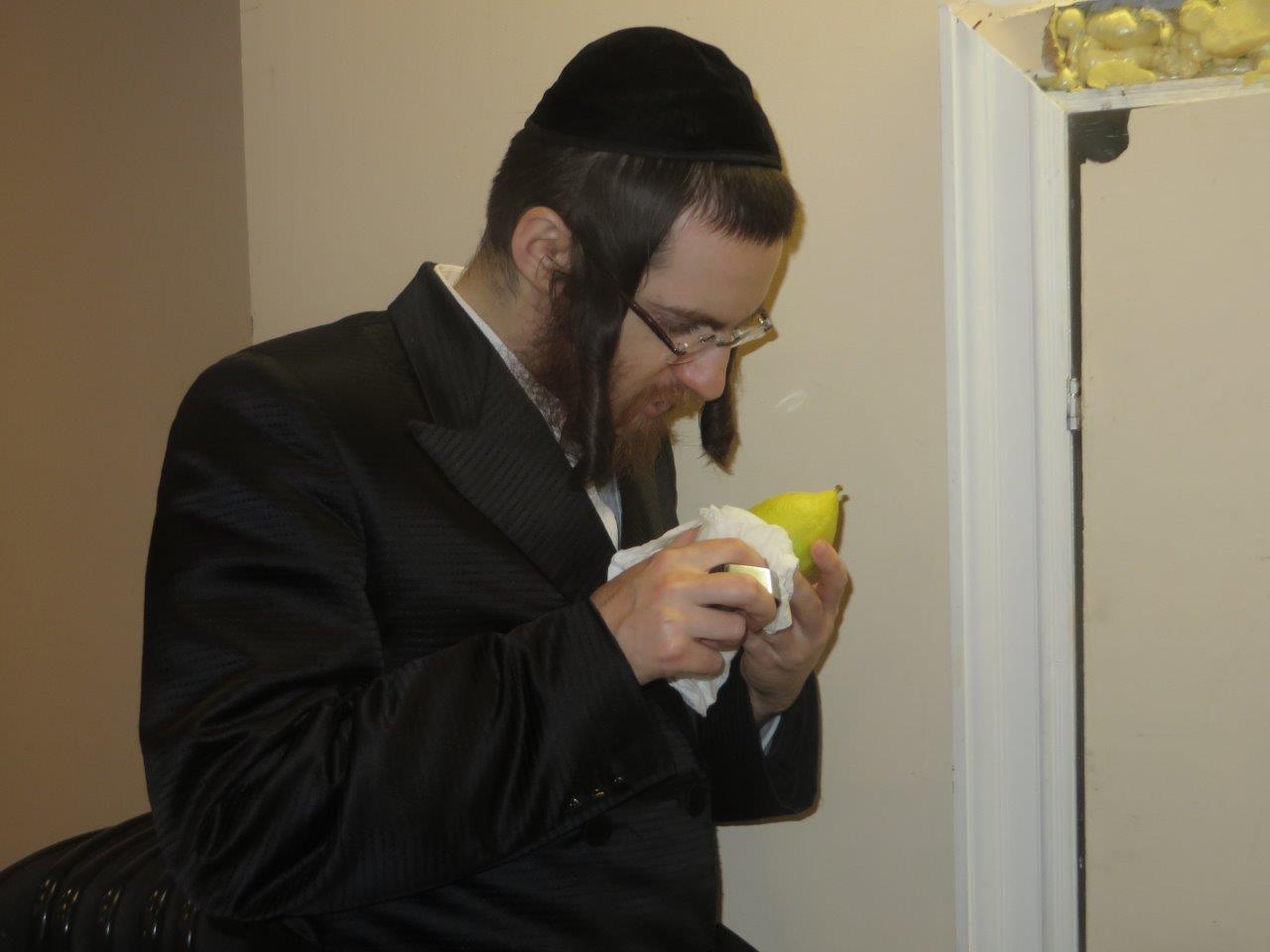 צפו בתיעוד: כך ויליאמסבורג נערכת לסוכות