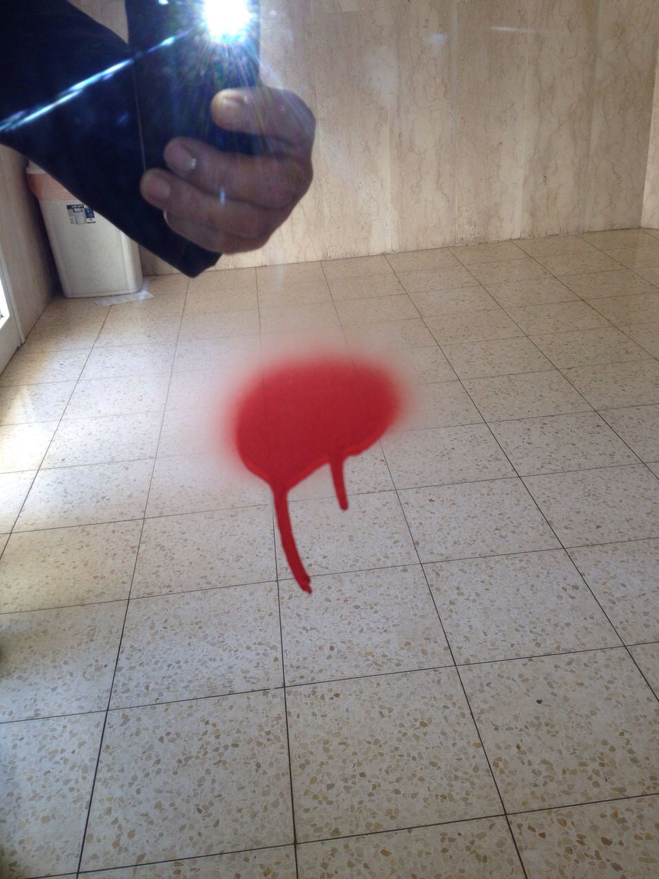 אלעד: כתובות נאצה נגד צוריאל קריספל