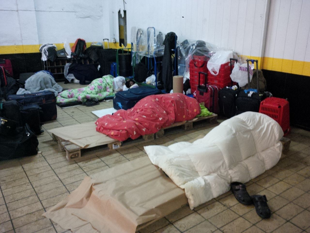 חשש באנטוורפן: חסידי הרב ברלנד הגיעו מהולנד