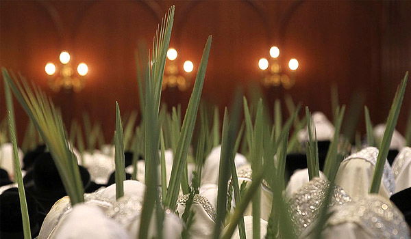 אילוסטרציה