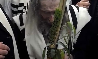 תיעוד בלעדי: מרן הגראי"ל שטיינמן עם ארבעת המינים