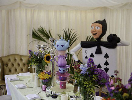 סטיב דוגן, dailymail