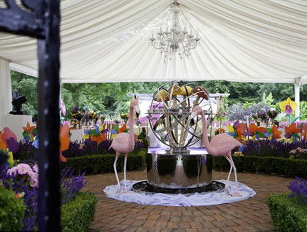 סטיב דוגן, dailymail