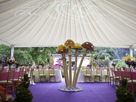 סטיב דוגן, dailymail