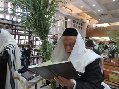 תיעוד ענק: חג הסוכות בישיבת פוניבז'