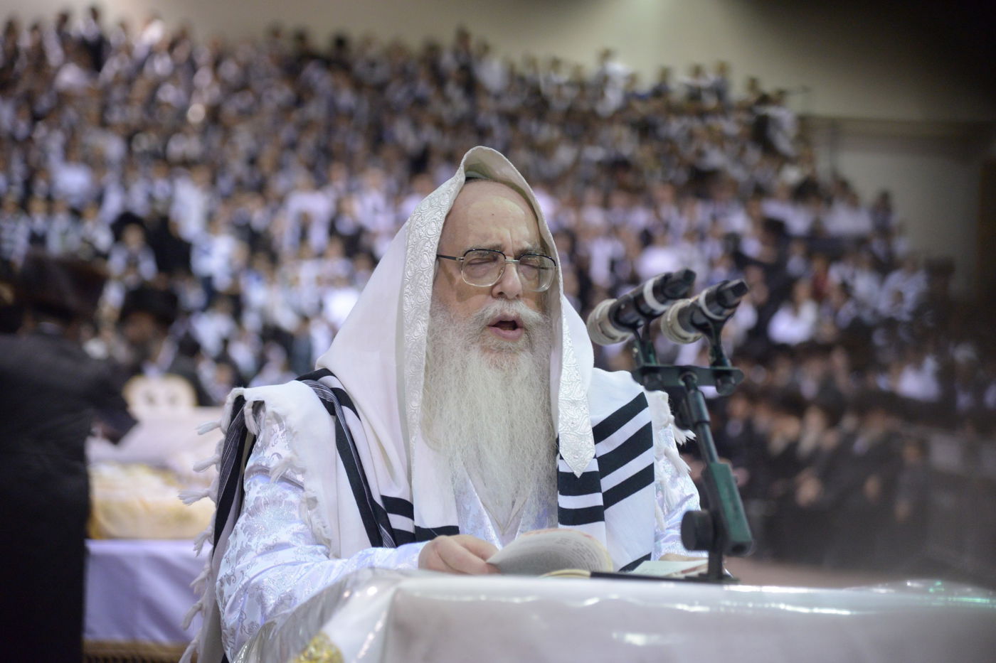 גלריה: ההקפות השניות של חסידות צאנז