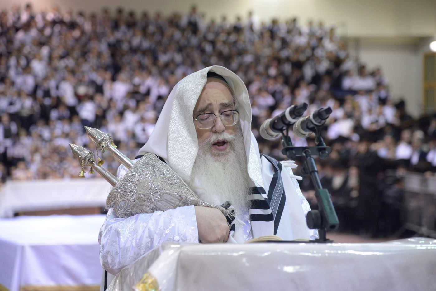 גלריה: ההקפות השניות של חסידות צאנז