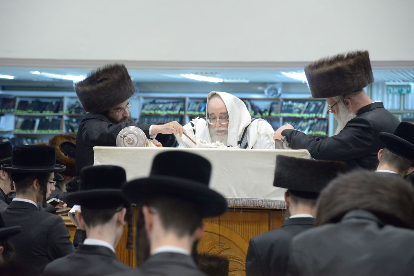 גלריה: ההקפות השניות של חסידות צאנז