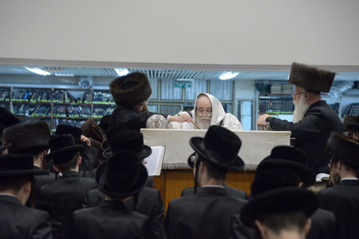 גלריה: ההקפות השניות של חסידות צאנז