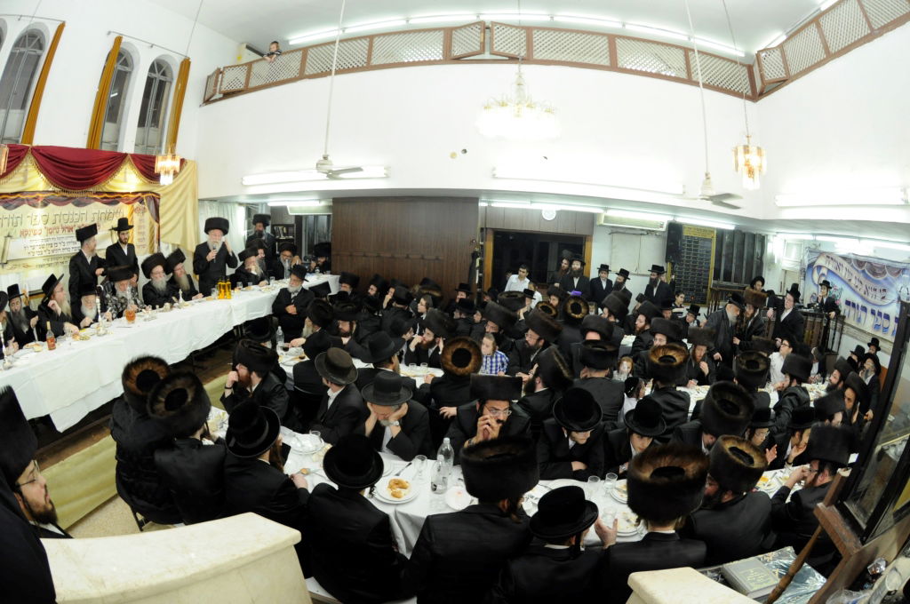 גלריה: הכנסת ספר תורה בספינקא