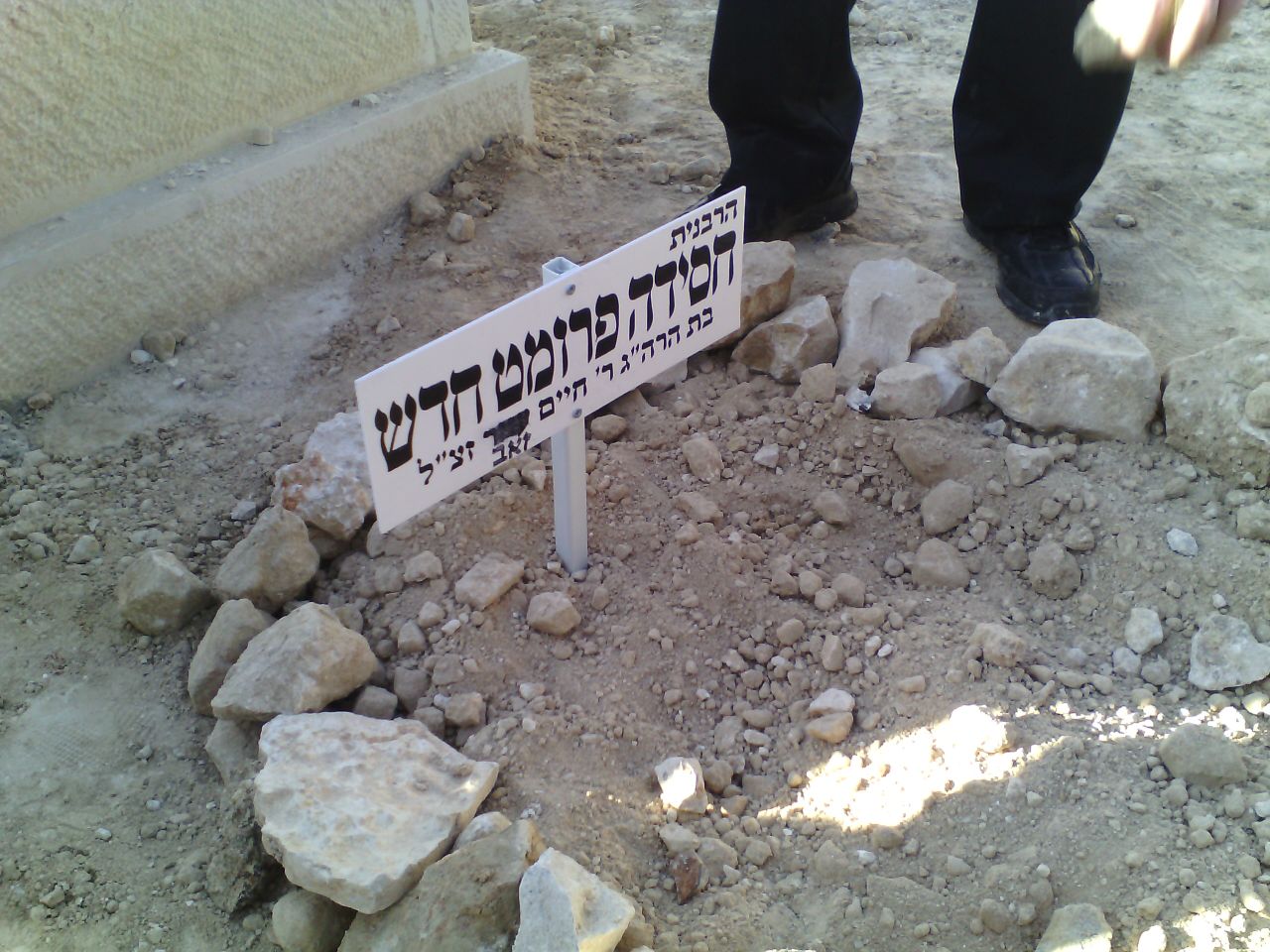 צילום. י. לוי