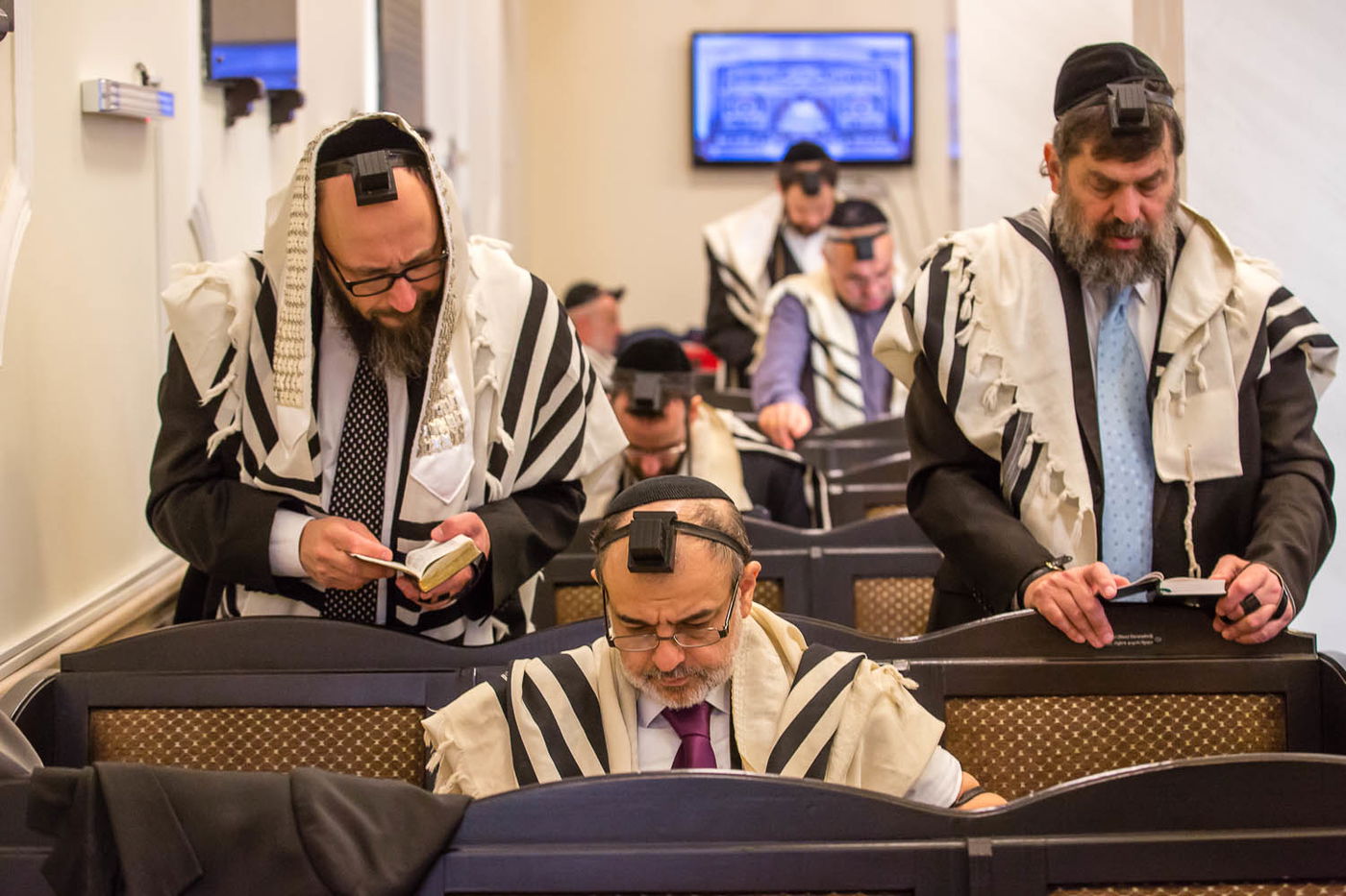 דנמרק: הפרלמנט דן האם לאסור את ברית המילה