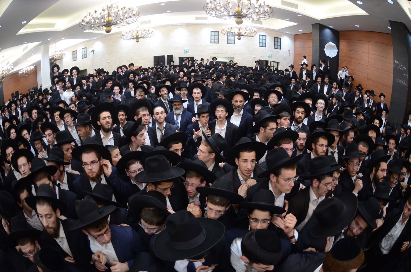 שמחת בית פוניבז' בנישואי נכדי ראשי הישיבה • תיעוד ענק