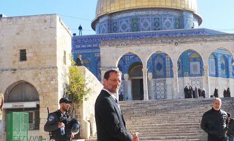 פייגלין בהר הבית