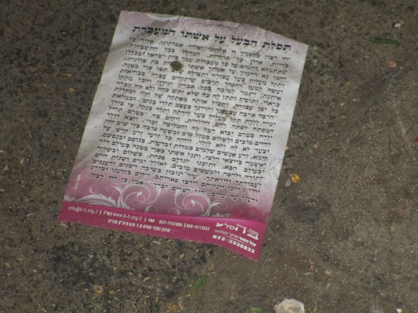 אלפי עלוני גניזה הושלכו בביזיון ליד קבר הגר"ע