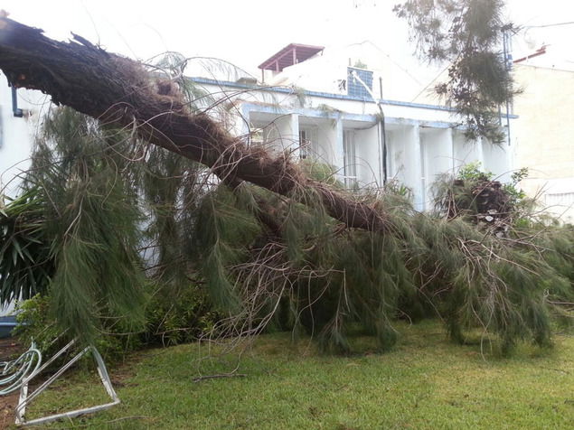 גשמי ברכה: תוך יום אחד - כמות גשם של חודש שלם