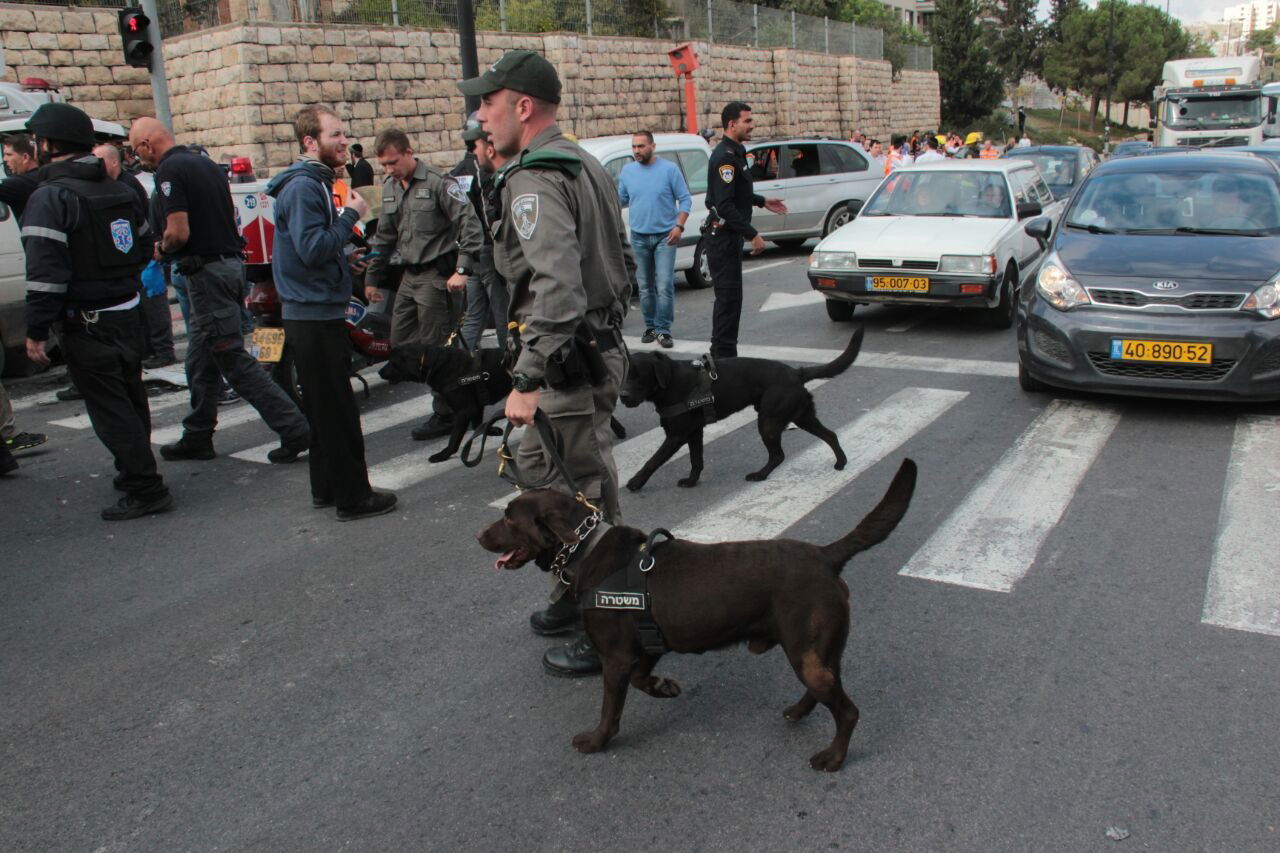פיגוע הדריסה בירושלים • תמונות מהזירה