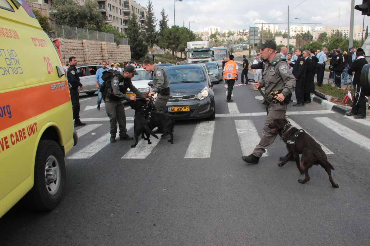 פיגוע הדריסה בירושלים • תמונות מהזירה