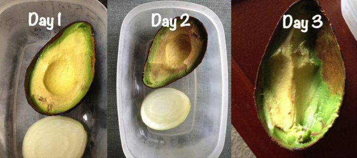 לא עוד אבוקדו שחור: איך לאחסן מזון נכון