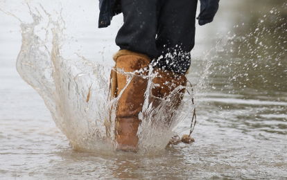 אילוסטרציה