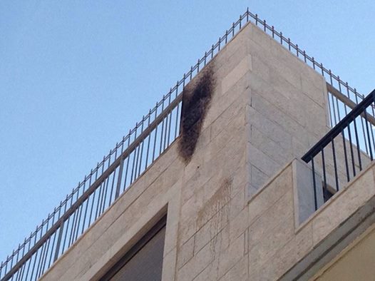 תיעוד: בקבוקי תבערה על ביתו של אריה קינג בירושלים