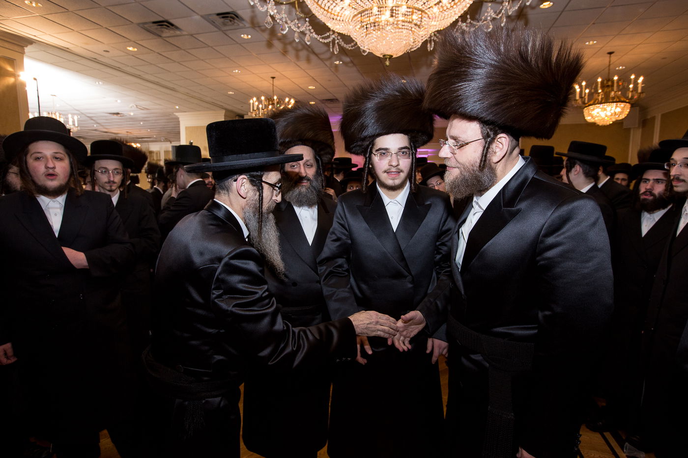 האדמו"רים חגגו בחתונת בן הנגיד מויליאמסבורג