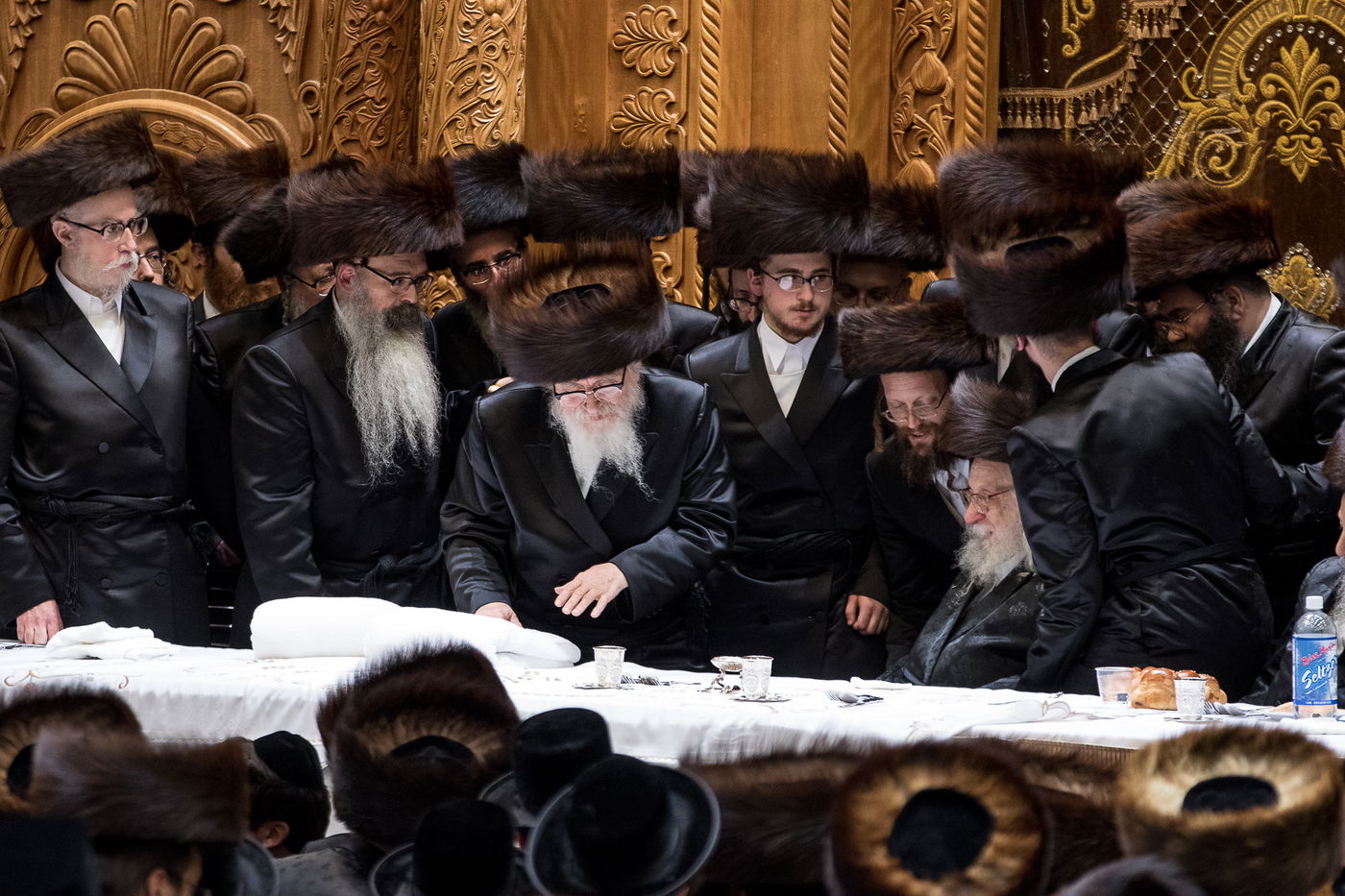 גלריה: נכד הרבי מרחמסטריווקא התחתן