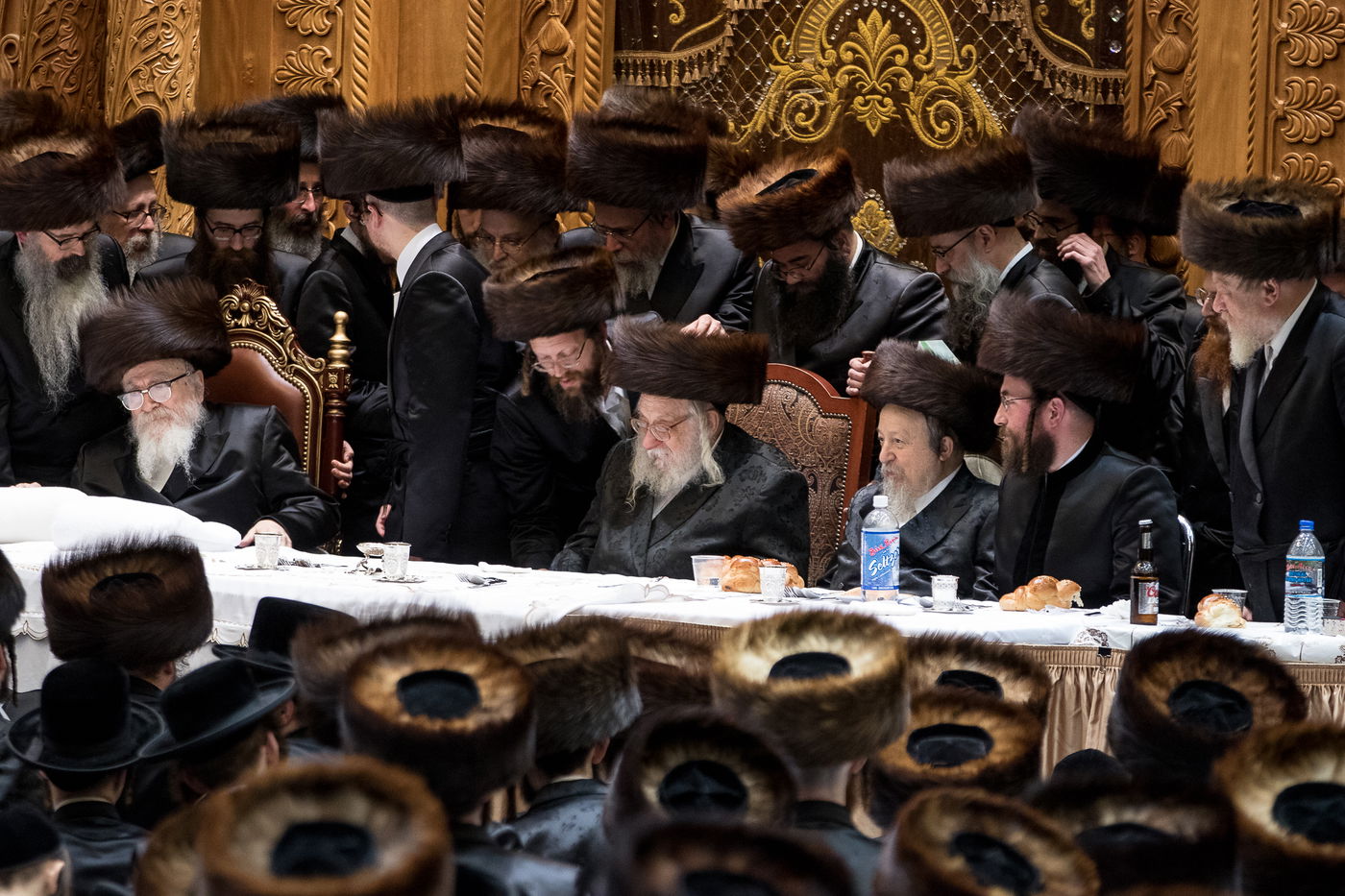 גלריה: נכד הרבי מרחמסטריווקא התחתן