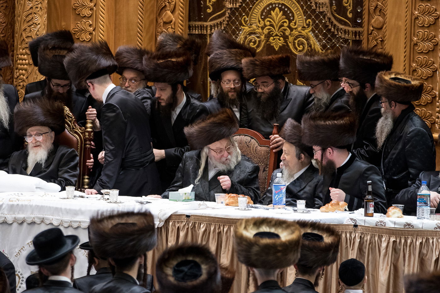 גלריה: נכד הרבי מרחמסטריווקא התחתן