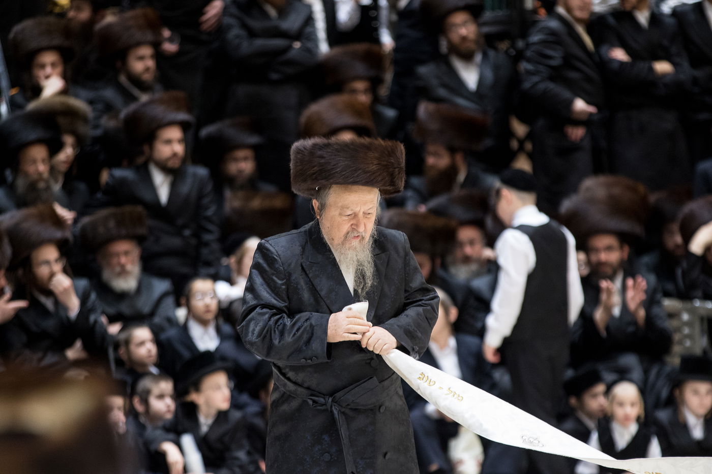 גלריה: נכד הרבי מרחמסטריווקא התחתן