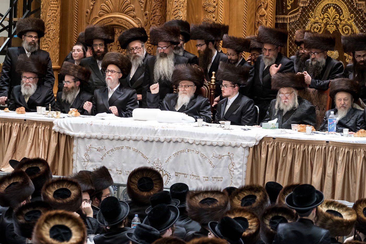 גלריה: נכד הרבי מרחמסטריווקא התחתן