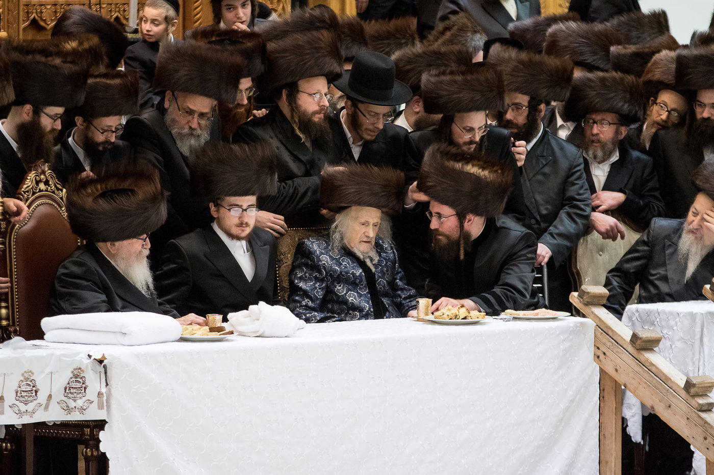 גלריה: נכד הרבי מרחמסטריווקא התחתן