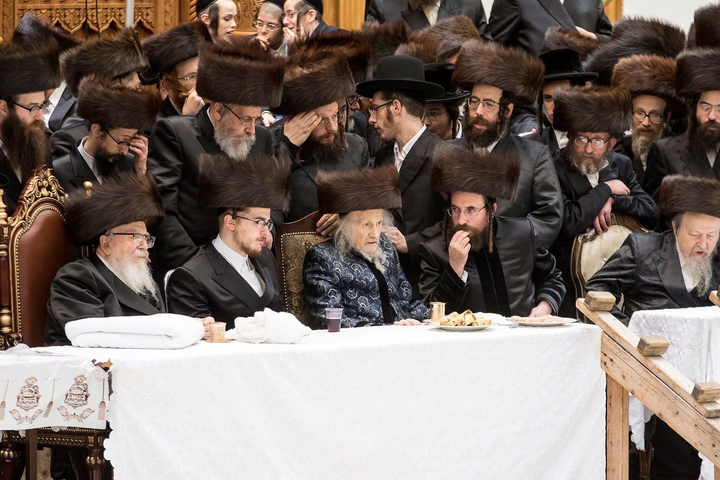 גלריה: נכד הרבי מרחמסטריווקא התחתן