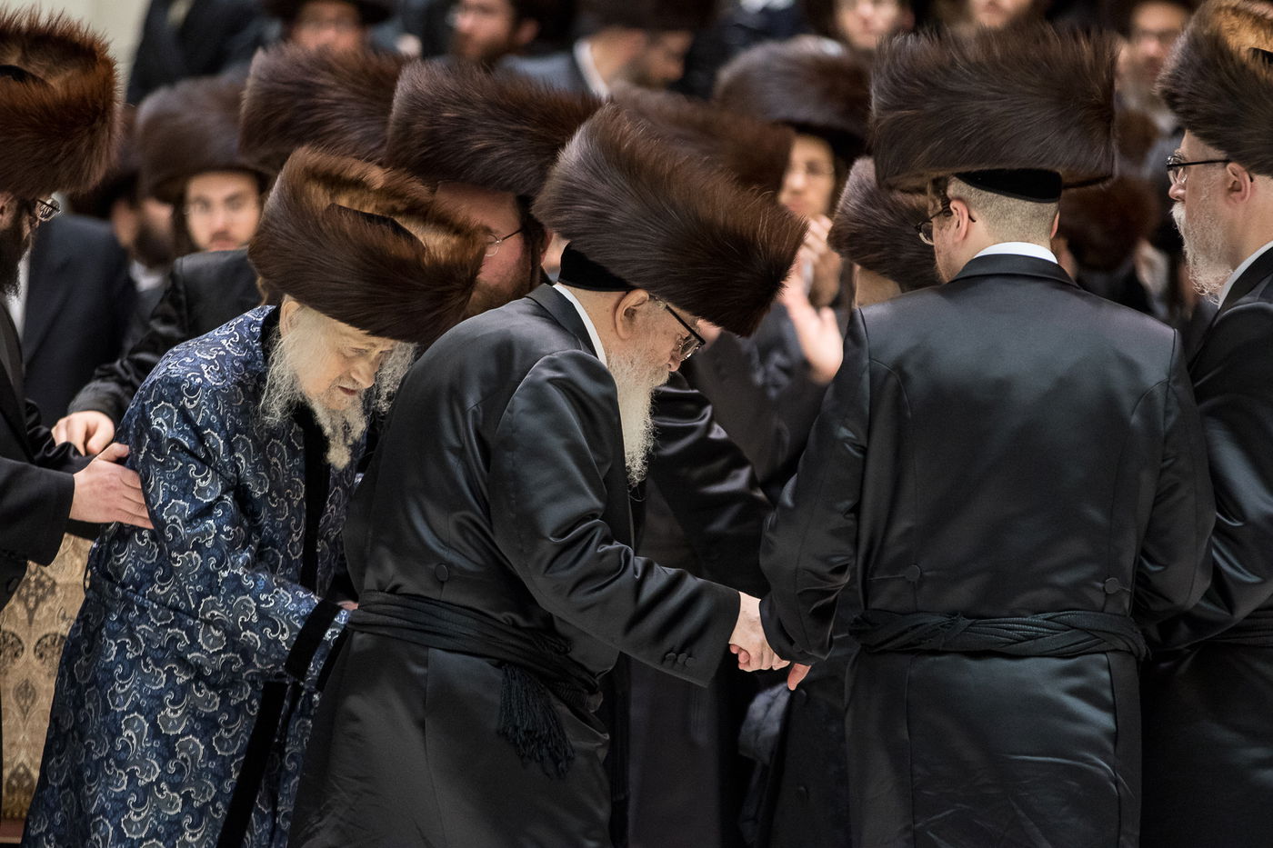 גלריה: נכד הרבי מרחמסטריווקא התחתן