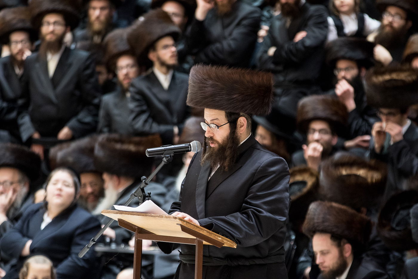 גלריה: נכד הרבי מרחמסטריווקא התחתן