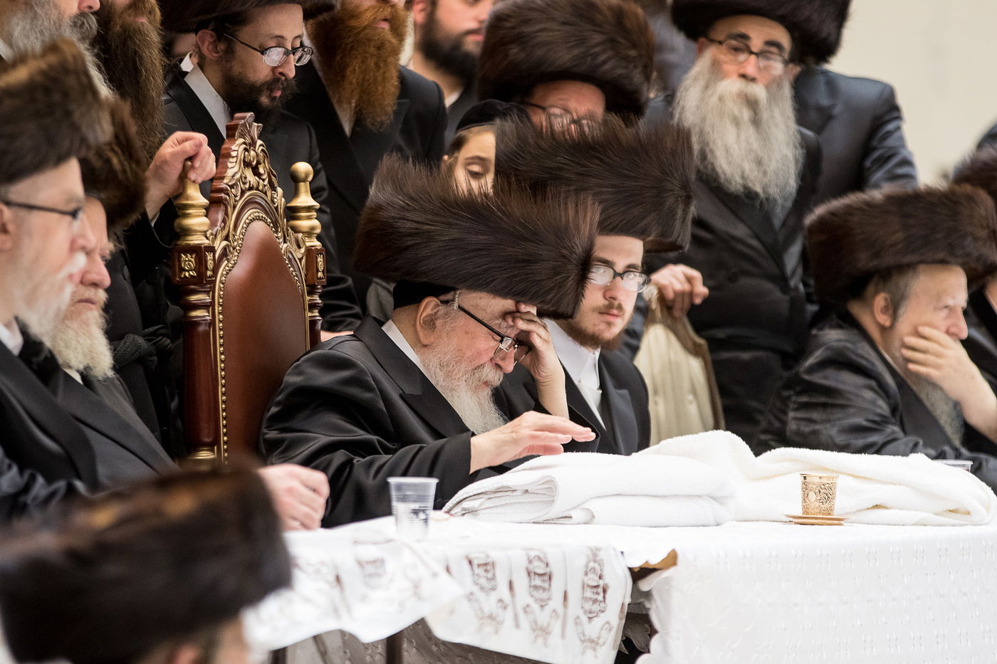 גלריה: נכד הרבי מרחמסטריווקא התחתן